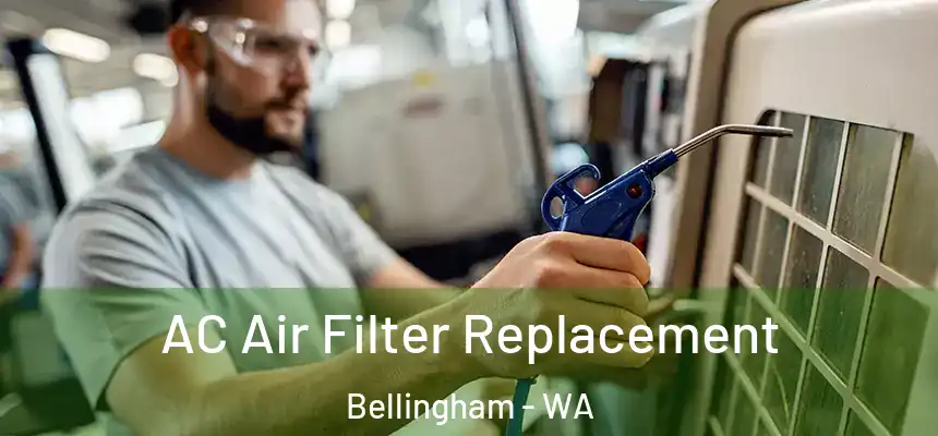  AC Air Filter Replacement Bellingham - WA
