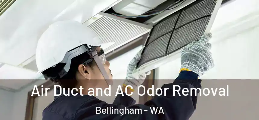  Air Duct and AC Odor Removal Bellingham - WA