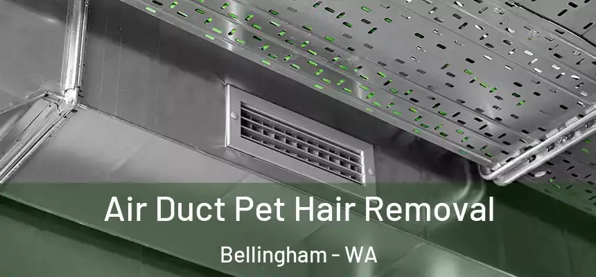  Air Duct Pet Hair Removal Bellingham - WA