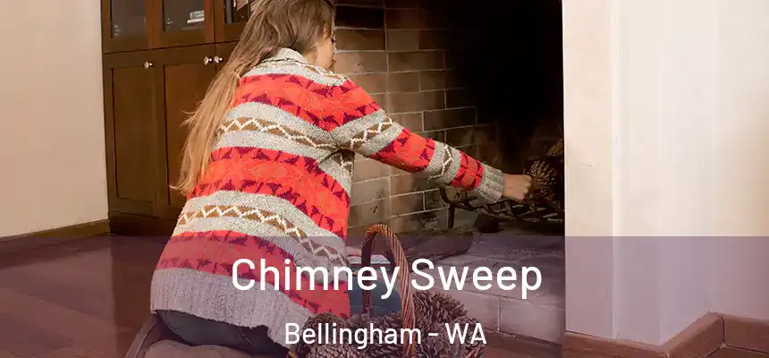  Chimney Sweep Bellingham - WA