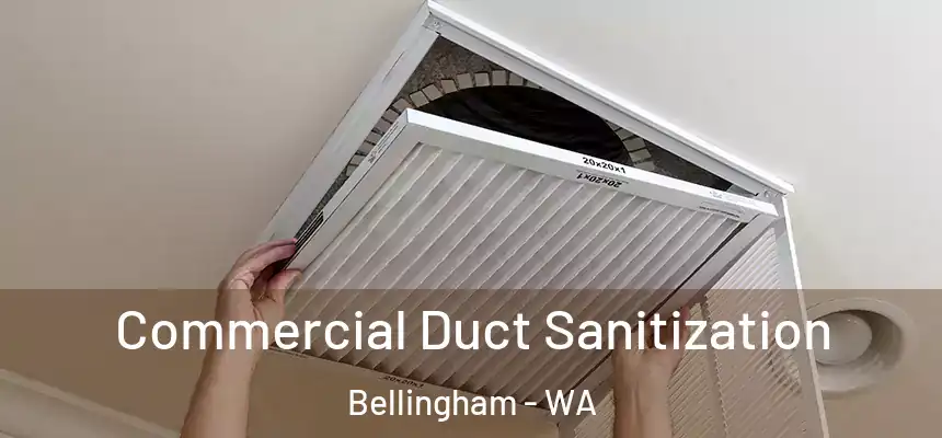  Commercial Duct Sanitization Bellingham - WA