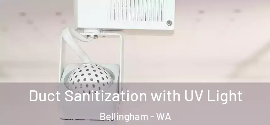  Duct Sanitization with UV Light Bellingham - WA