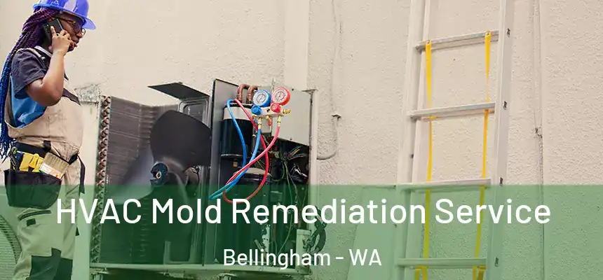  HVAC Mold Remediation Service Bellingham - WA