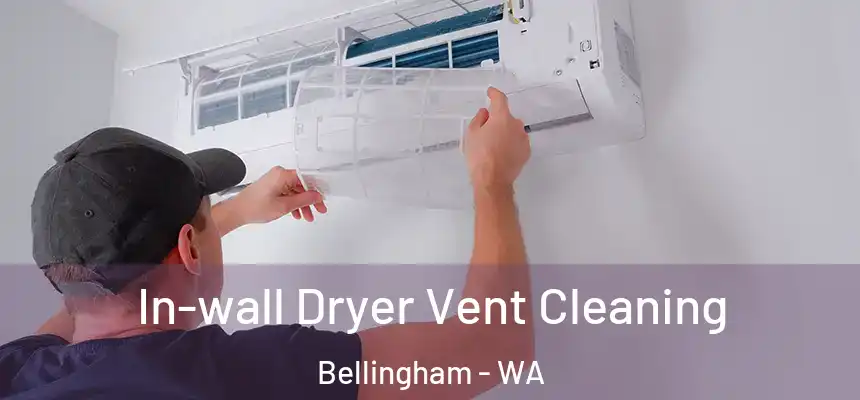  In-wall Dryer Vent Cleaning Bellingham - WA