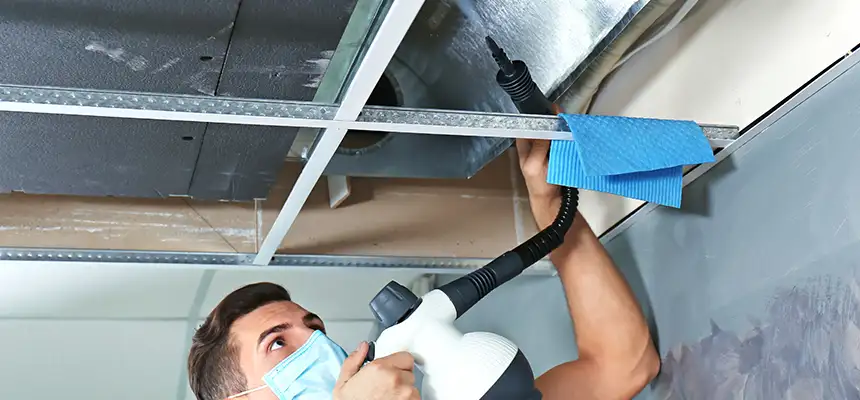 Our Air Duct Rodent Removal Services in Bellingham, WA