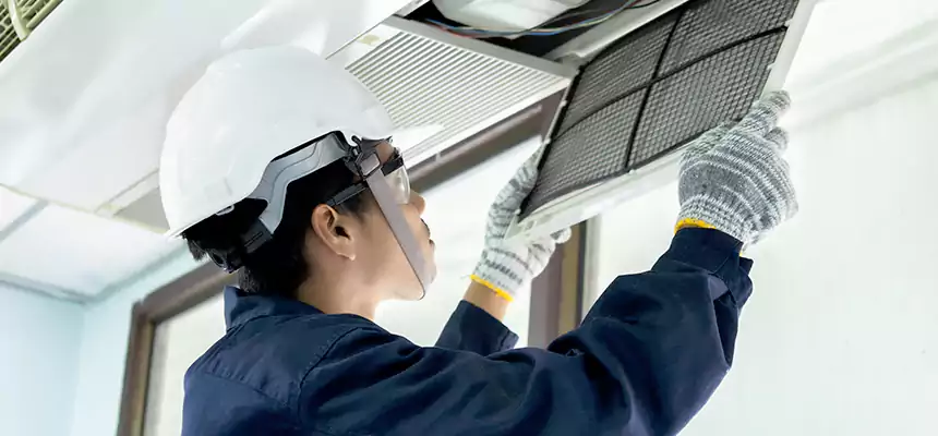 Our Mold & Mildew Removal from Air Ducts Services in Bellingham, WA