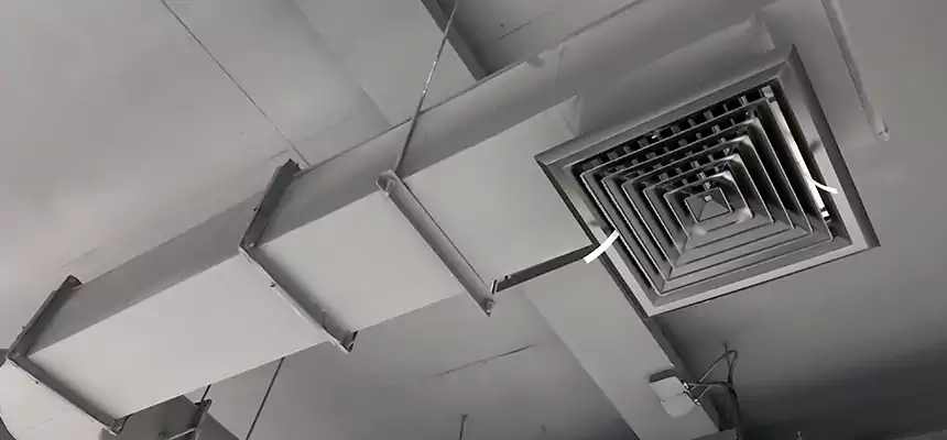 Our Pest Removal From Ducts Services in Bellingham, WA