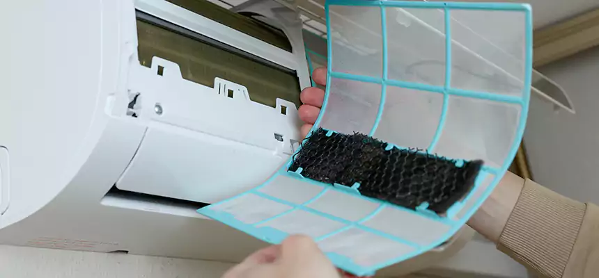 Gentle Ductwork Odor-Control Pet Dander Duct Cleaning in Bellingham, WA