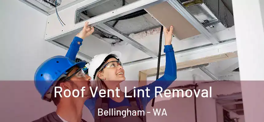  Roof Vent Lint Removal Bellingham - WA