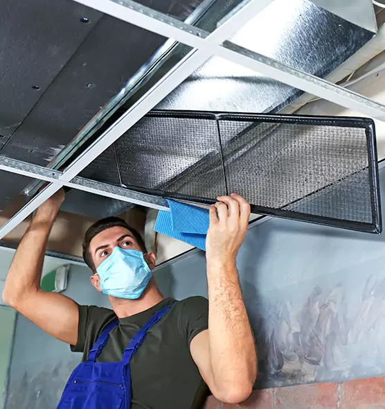 About Air Duct Bacteria Removal in Bellingham