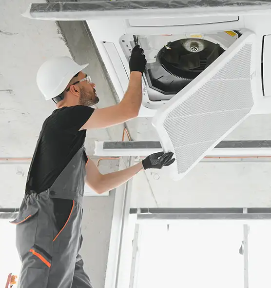 About Air Duct Rodent Removal in Bellingham, WA