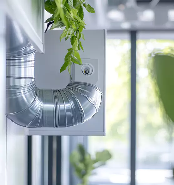 Professional Eco-Safe Dryer Vent Cleaning in Bellingham, WA