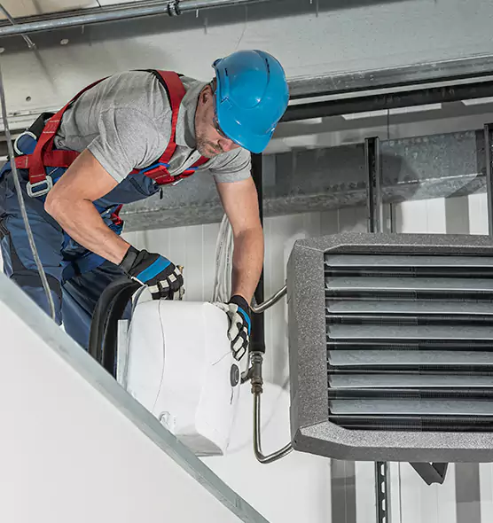About HVAC Mold Remediation Service in Bellingham, WA
