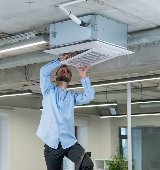 Advanced Rodent Droppings In Vents in Bellingham, WA