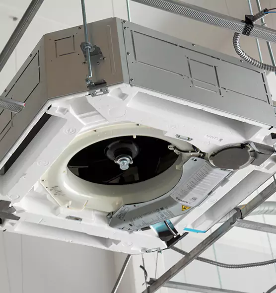 Professional Roof Vent Lint Removal Bellingham, WA