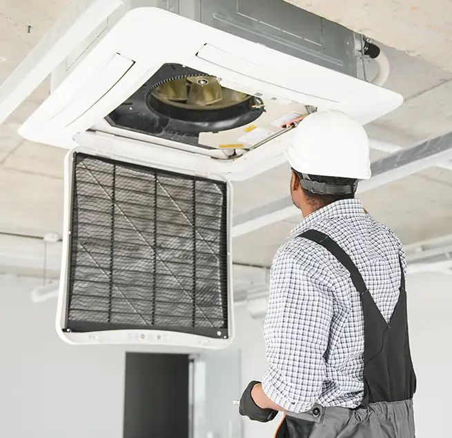 Why Homeowners & Businesses Trust Us in Bellingham, WA?