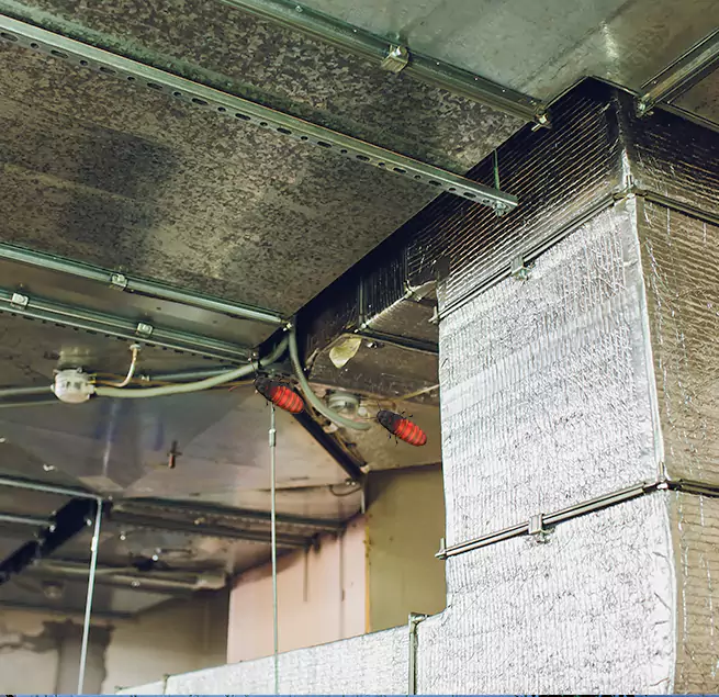 Why Homeowners & Businesses Trust Us in Bellingham, WA?