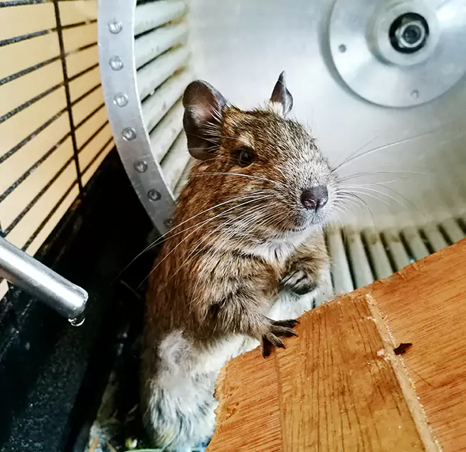 Why Homeowners & Businesses Trust Us Bellingham, WA