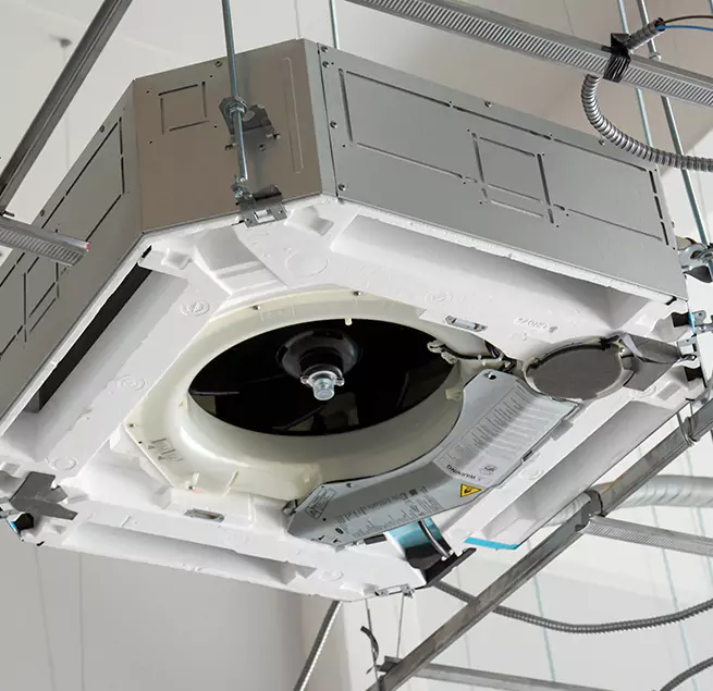 Why Homeowners & Businesses Trust Us in Bellingham, WA?