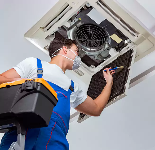 Why Homeowners & Businesses Trust Us in Bellingham, WA