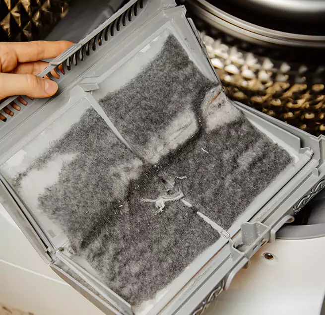  Why Homeowners & Businesses Trust Us Bellingham, WA?