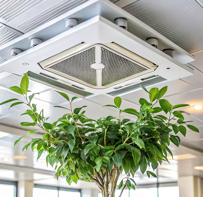 Why Homeowners & Businesses Trust Us in Bellingham, WA?