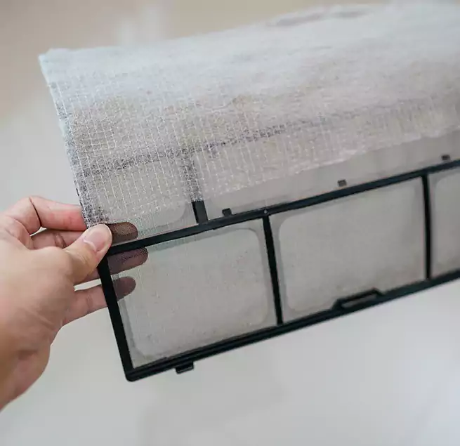 Why Homeowners & Businesses Trust Us in Bellingham, WA?