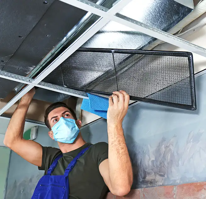 Why Homeowners & Businesses Trust Us in Bellingham, WA?