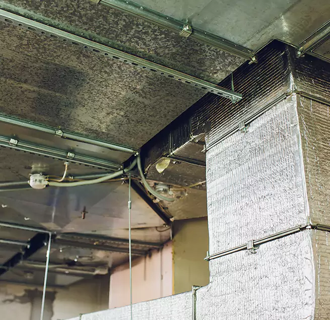 Why Homeowners & Businesses Trust Us in Bellingham, WA?