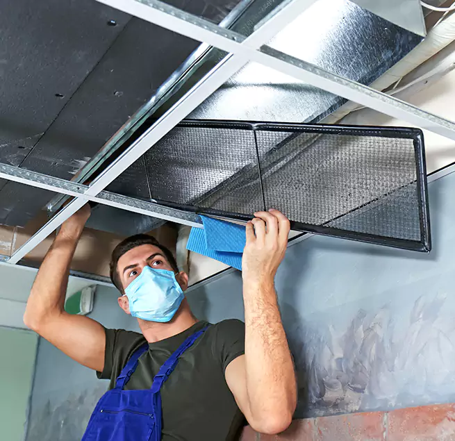  Why Homeowners Businesses Trust Us  in Bellingham, WA?