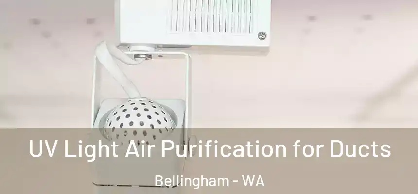  UV Light Air Purification for Ducts Bellingham - WA